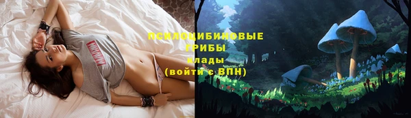 мдпв Гусиноозёрск