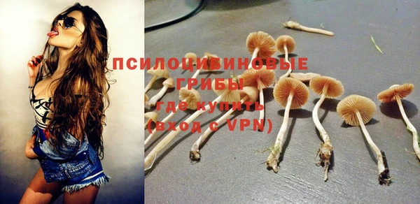 мдпв Гусиноозёрск
